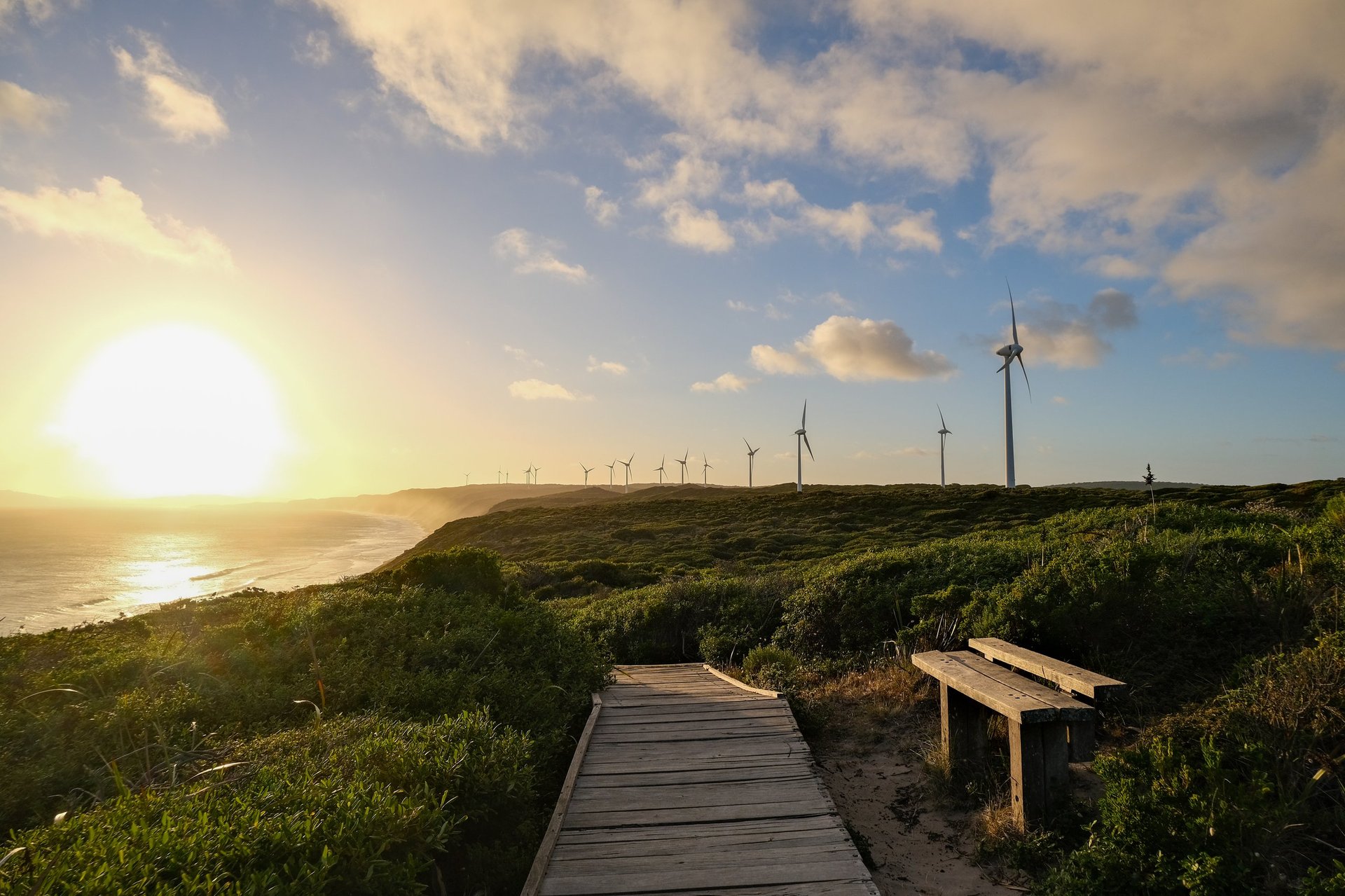 Albany Wind Farm during sunset