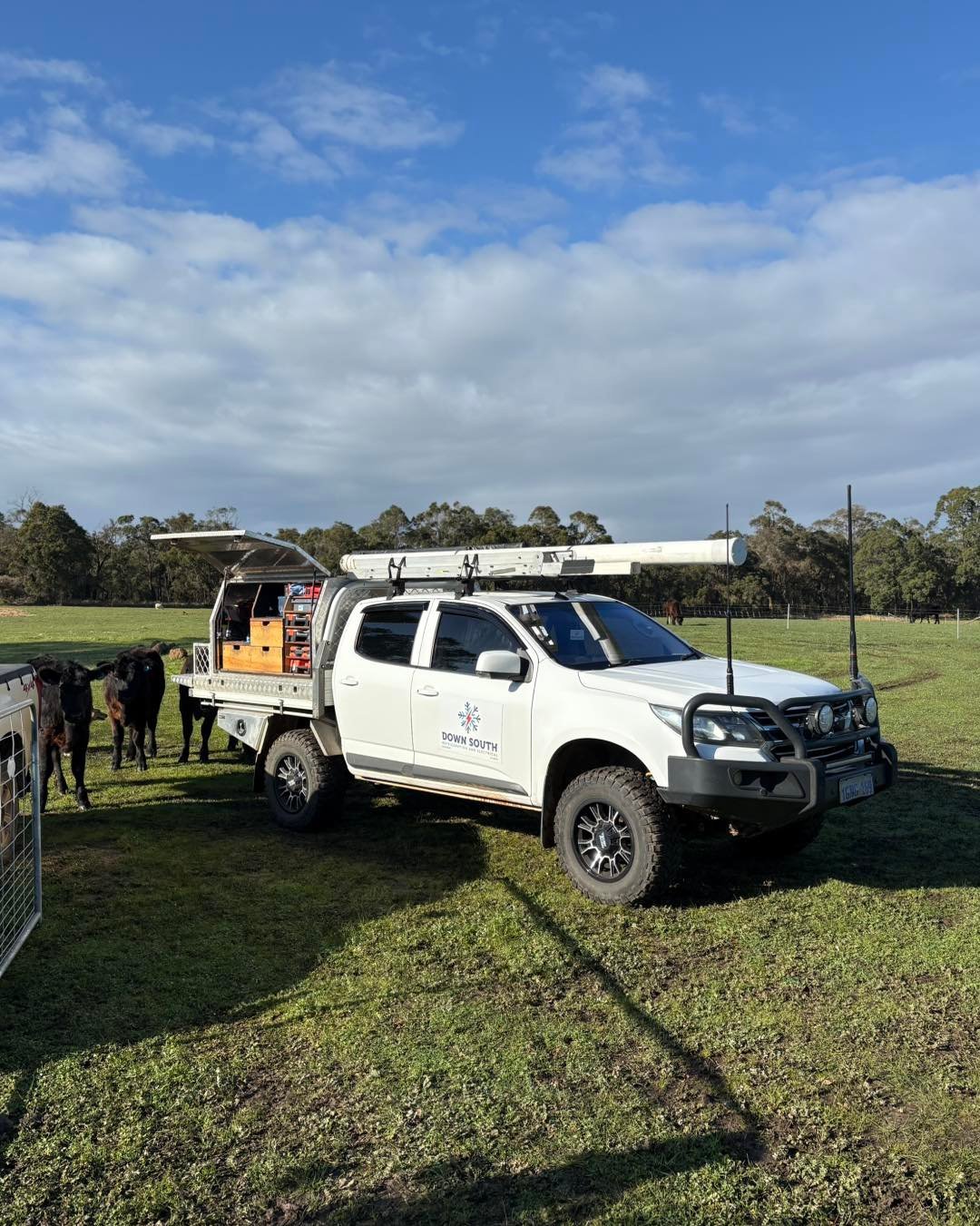 White utility vehicle with equipment parked in grassy paddock with cattle in background